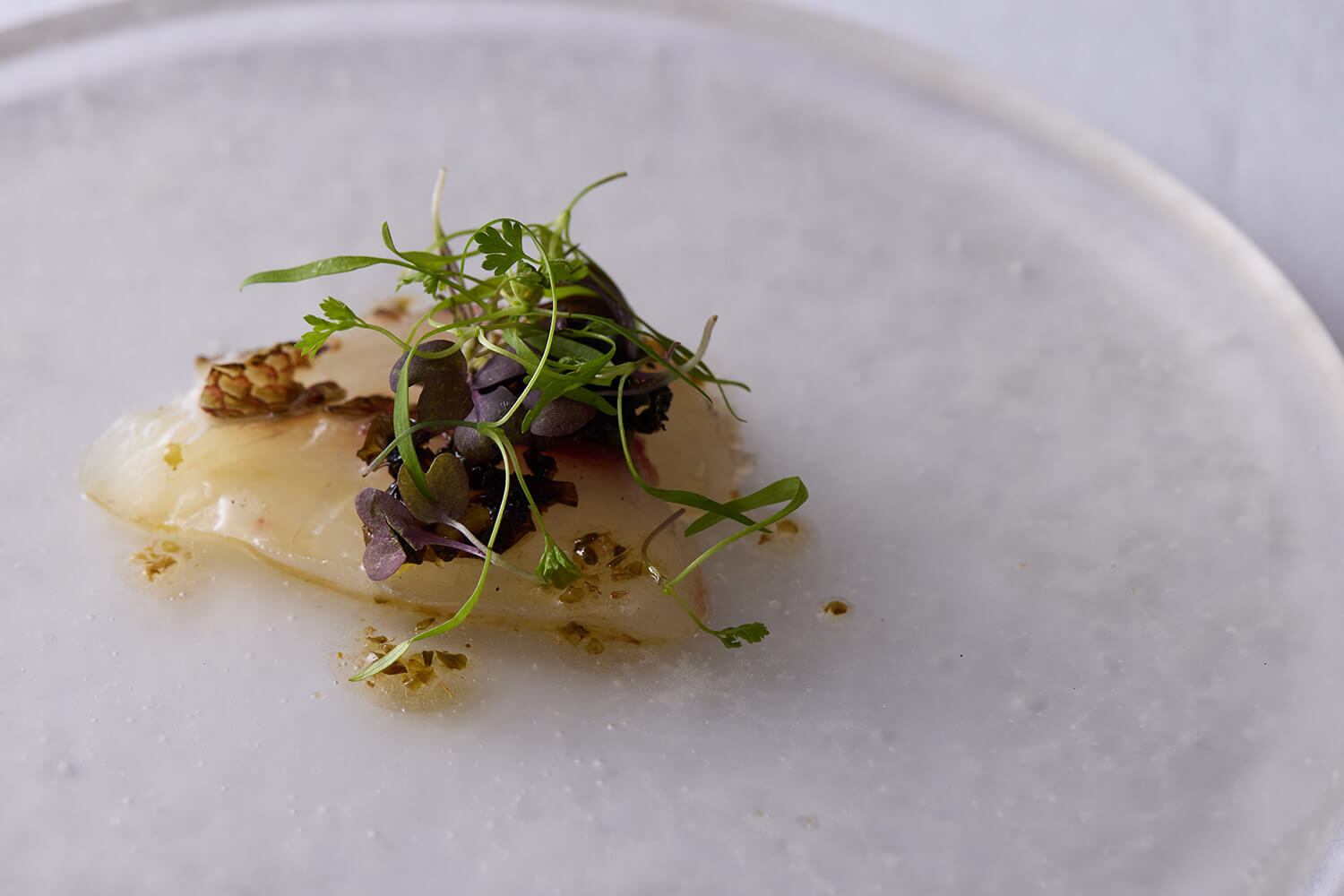 師崎の天然真鯛のカルパッチョ