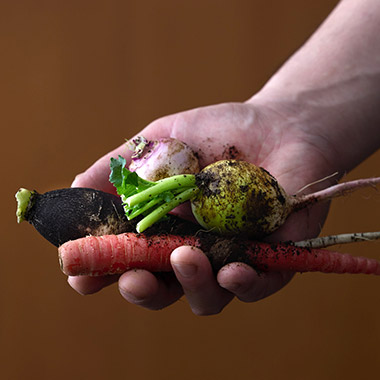 野菜を手に持つ