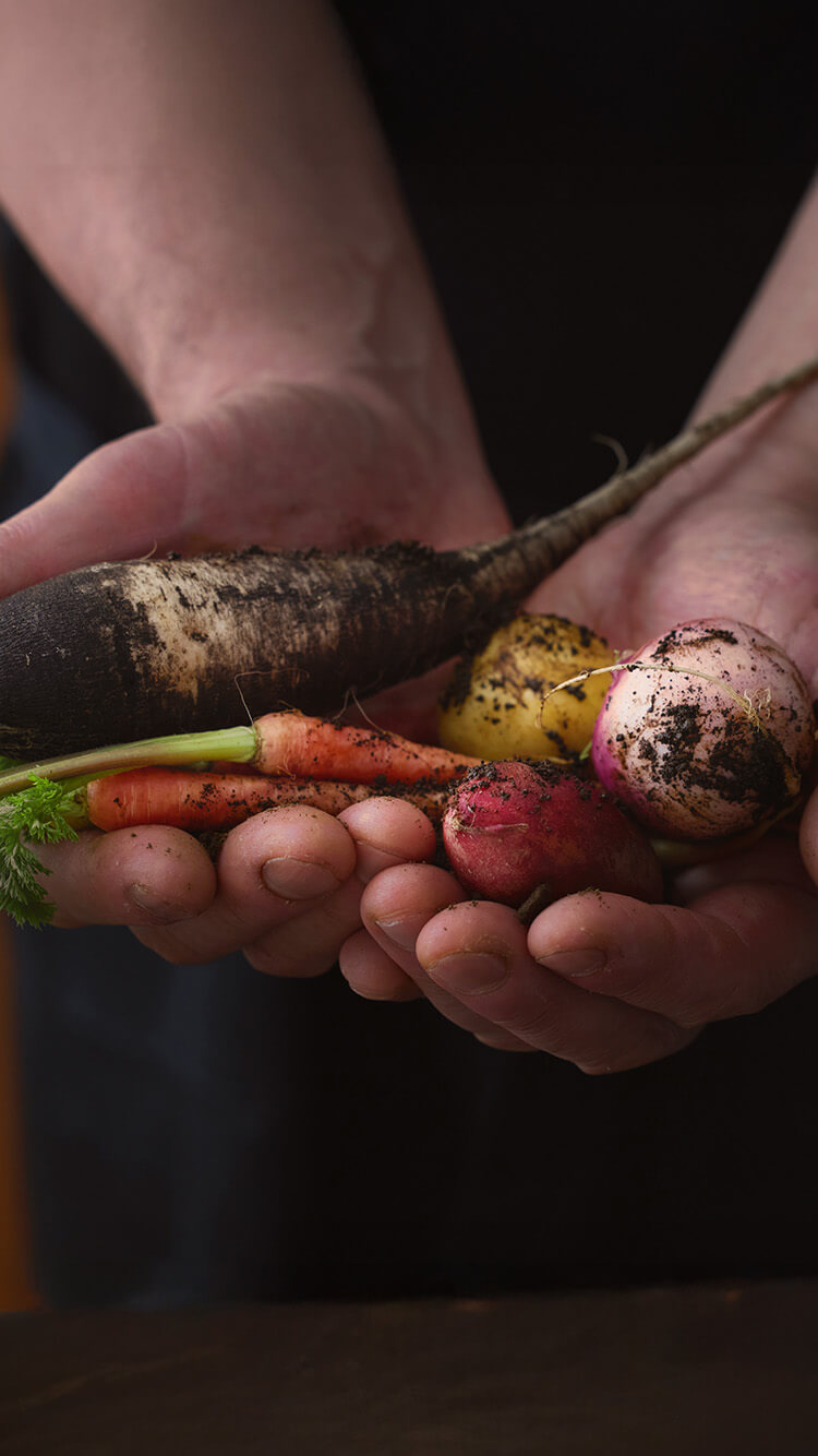 野菜を手に持つ